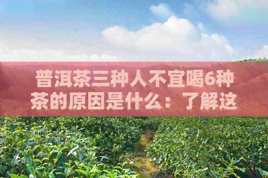 普洱茶三种人不宜喝6种茶的原因是什么：了解这8种茶对特定人群的影响