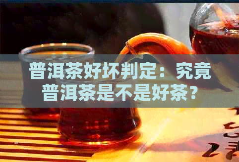 普洱茶好坏判定：究竟普洱茶是不是好茶？