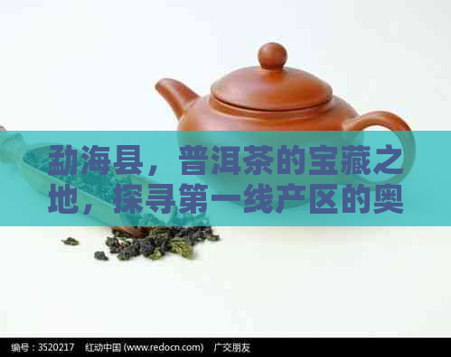 勐海县，普洱茶的宝藏之地，探寻之一线产区的奥秘