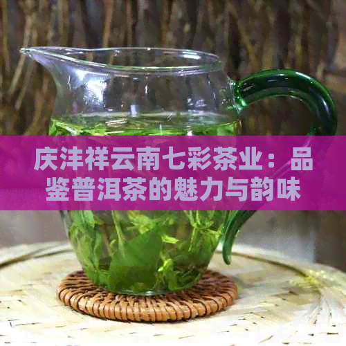 庆沣祥云南七彩茶业：品鉴普洱茶的魅力与韵味