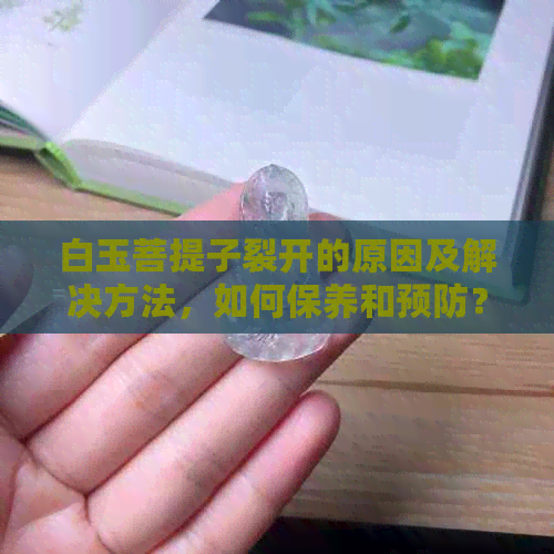 白玉菩提子裂开的原因及解决方法，如何保养和预防？