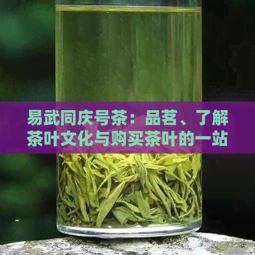 易武同庆号茶：品茗、了解茶叶文化与购买茶叶的一站式体验