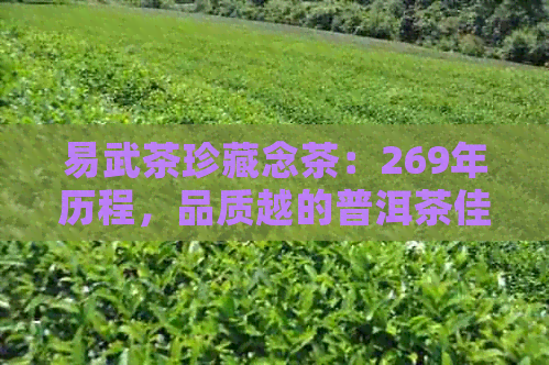 易武茶珍藏念茶：269年历程，品质越的普洱茶佳品