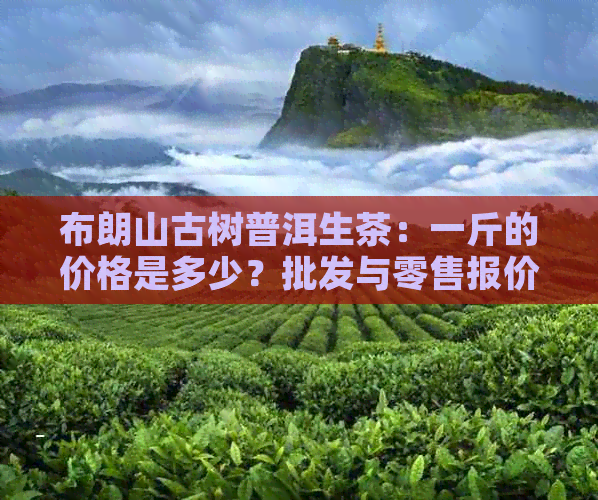 布朗山古树普洱生茶：一斤的价格是多少？批发与零售报价分析