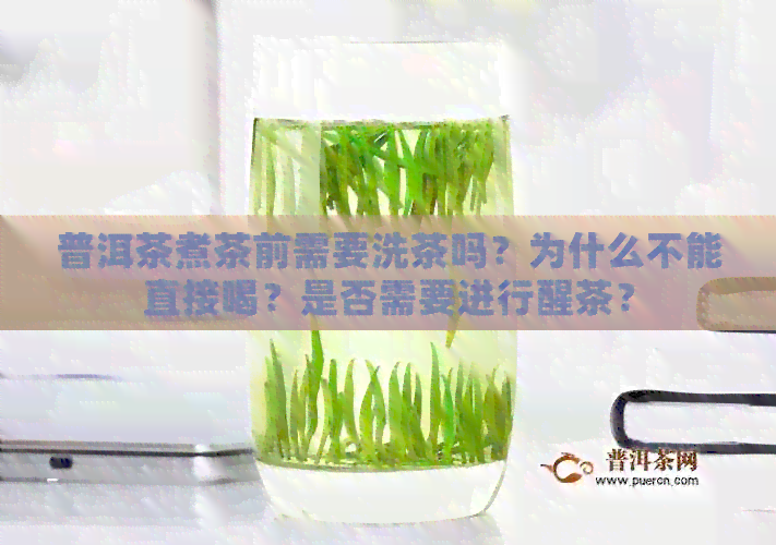 普洱茶煮茶前需要洗茶吗？为什么不能直接喝？是否需要进行醒茶？