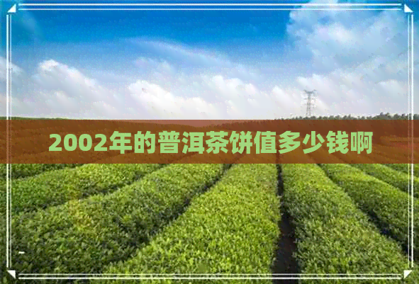 2002年的普洱茶饼值多少钱啊