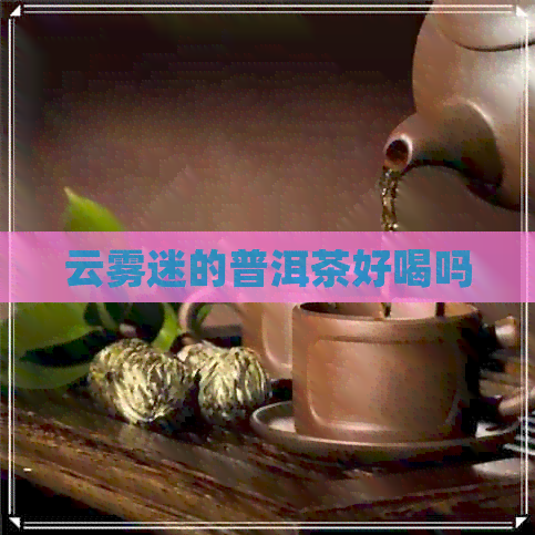 云雾迷的普洱茶好喝吗