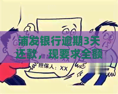 浦发银行逾期3天还款，现要求全额还清款项