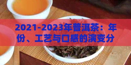 2021-2023年普洱茶：年份、工艺与口感的演变分析