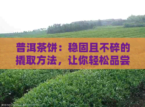 普洱茶饼：稳固且不碎的撬取方法，让你轻松品尝陈年美味