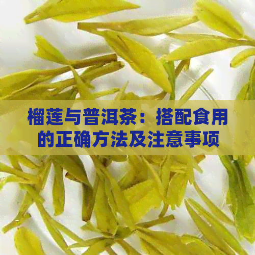 榴莲与普洱茶：搭配食用的正确方法及注意事项