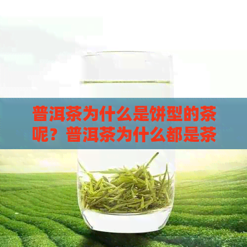 普洱茶为什么是饼型的茶呢？普洱茶为什么都是茶饼？