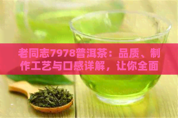 老同志7978普洱茶：品质、制作工艺与口感详解，让你全面了解这一独特茶叶