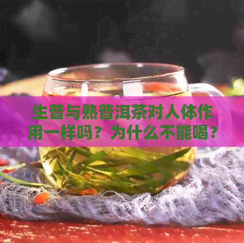 生普与熟普洱茶对人体作用一样吗？为什么不能喝？