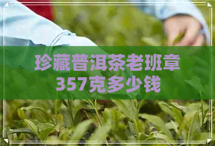 珍藏普洱茶老班章357克多少钱