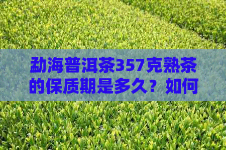 勐海普洱茶357克熟茶的保质期是多久？如何存以长其使用寿命？