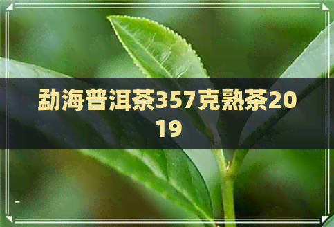 勐海普洱茶357克熟茶2019