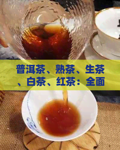 普洱茶、熟茶、生茶、白茶、红茶：全面解读茶叶品种及其制作工艺