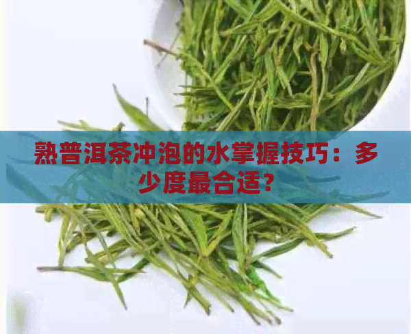 熟普洱茶冲泡的水掌握技巧：多少度最合适？