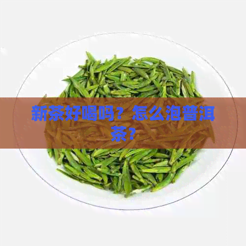 新茶好喝吗？怎么泡普洱茶？