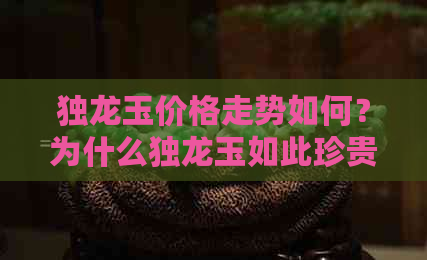 独龙玉价格走势如何？为什么独龙玉如此珍贵？