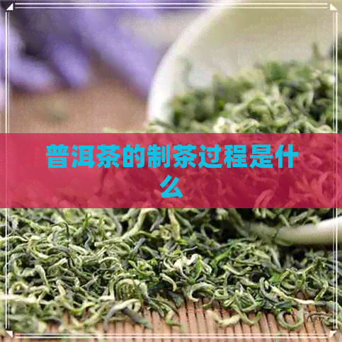 普洱茶的制茶过程是什么