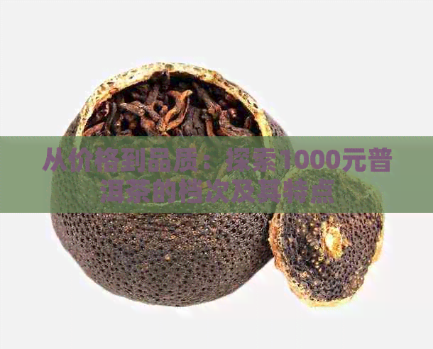 从价格到品质：探索1000元普洱茶的档次及其特点