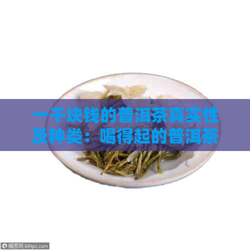 一千块钱的普洱茶真实性及种类：喝得起的普洱茶有哪些？