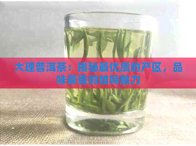 大理普洱茶：揭秘更优质的产区，品味茶香的独特魅力