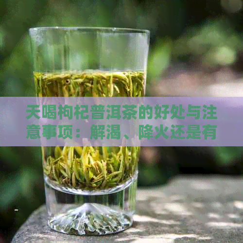 天喝枸杞普洱茶的好处与注意事项：解渴、降火还是有害？如何选择和搭配？