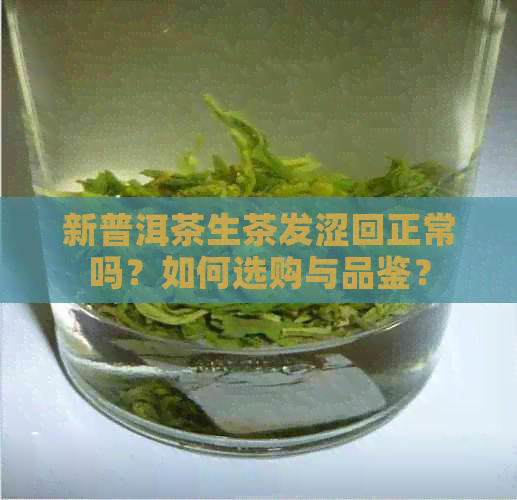 新普洱茶生茶发涩回正常吗？如何选购与品鉴？