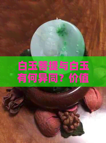 白玉菩提与白玉有何异同？价值如何？-关于这两种宝物的区别解答