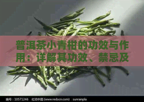 普洱茶小青柑的功效与作用：详解其功效、禁忌及适用人群。