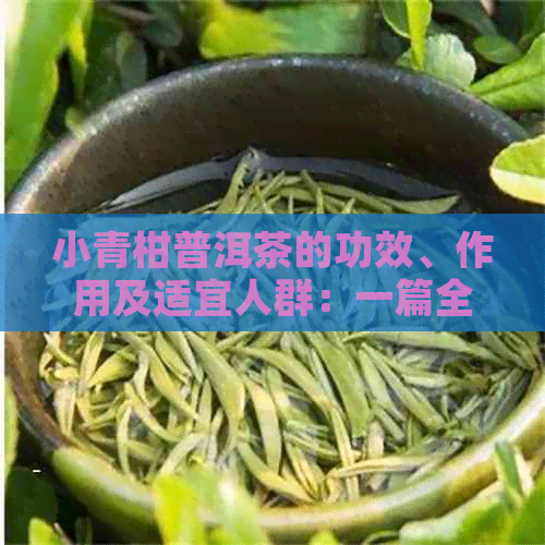 小青柑普洱茶的功效、作用及适宜人群：一篇全面的饮用禁忌指南