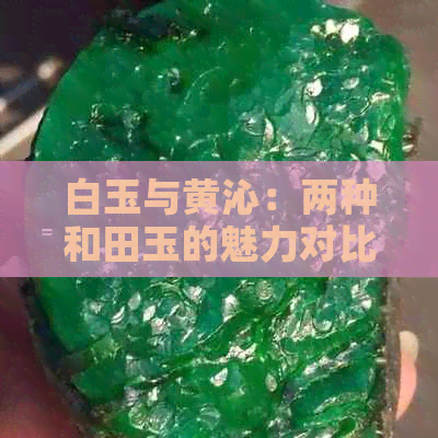 白玉与黄沁：两种和田玉的魅力对比分析