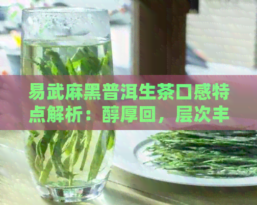 易武麻黑普洱生茶口感特点解析：醇厚回，层次丰富