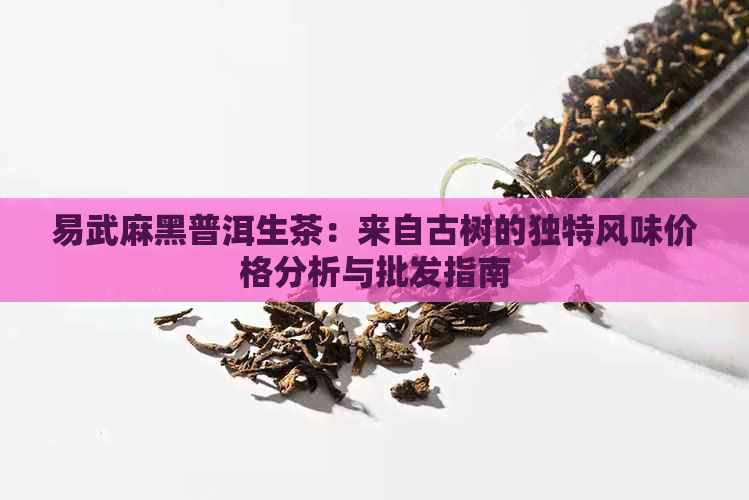 易武麻黑普洱生茶：来自古树的独特风味价格分析与批发指南