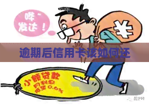 逾期后信用卡该如何还