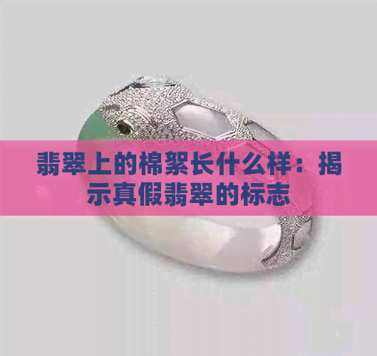 翡翠上的棉絮长什么样：揭示真假翡翠的标志