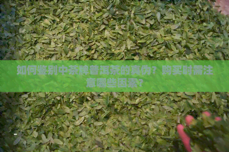 如何鉴别中茶牌普洱茶的真伪？购买时需注意哪些因素？