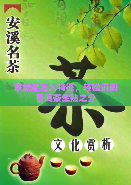 掌握这五大特征，轻松识别普洱茶生熟之分