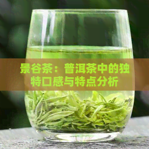 景谷茶：普洱茶中的独特口感与特点分析