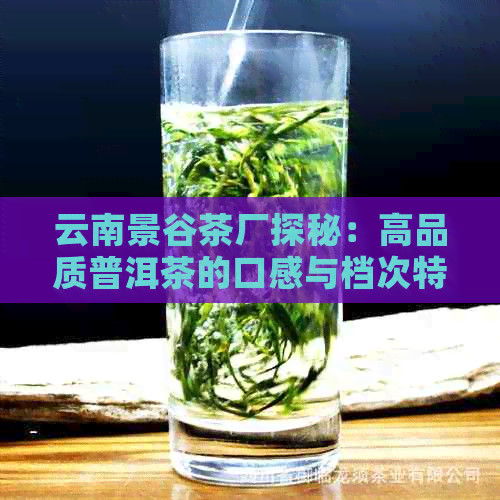 云南景谷茶厂探秘：高品质普洱茶的口感与档次特点