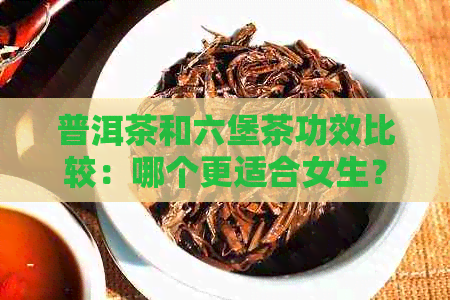 普洱茶和六堡茶功效比较：哪个更适合女生？