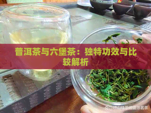 普洱茶与六堡茶：独特功效与比较解析