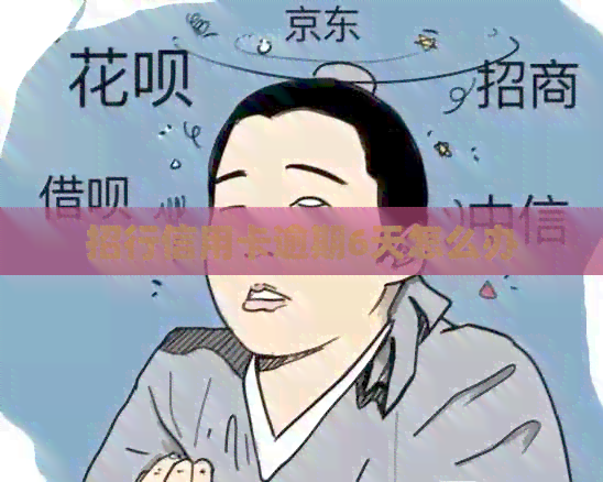 招行信用卡逾期6天怎么办