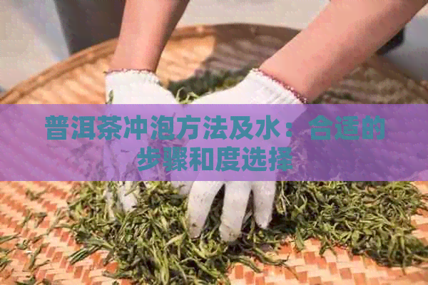 普洱茶冲泡方法及水：合适的步骤和度选择