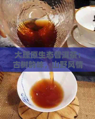 大理原生态普洱茶：古树韵味，山野风情的醇香之选