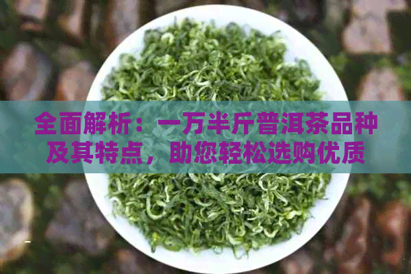 全面解析：一万半斤普洱茶品种及其特点，助您轻松选购优质茶叶