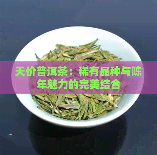 天价普洱茶：稀有品种与陈年魅力的完美结合